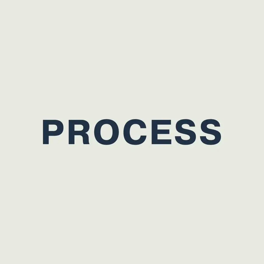 Process