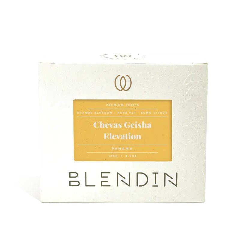 Chevas Geisha Elevation