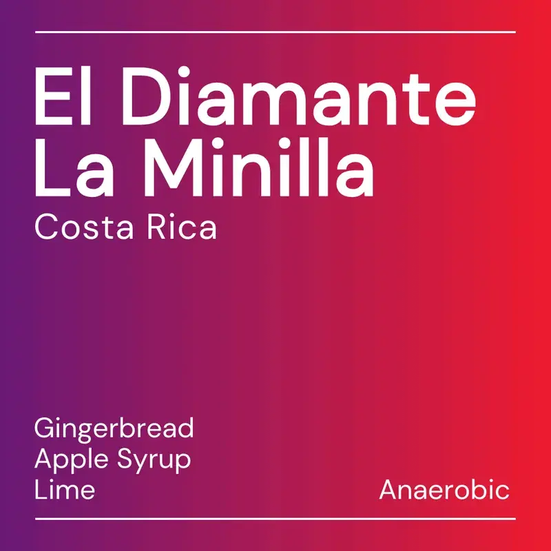 El Diamante Minilla