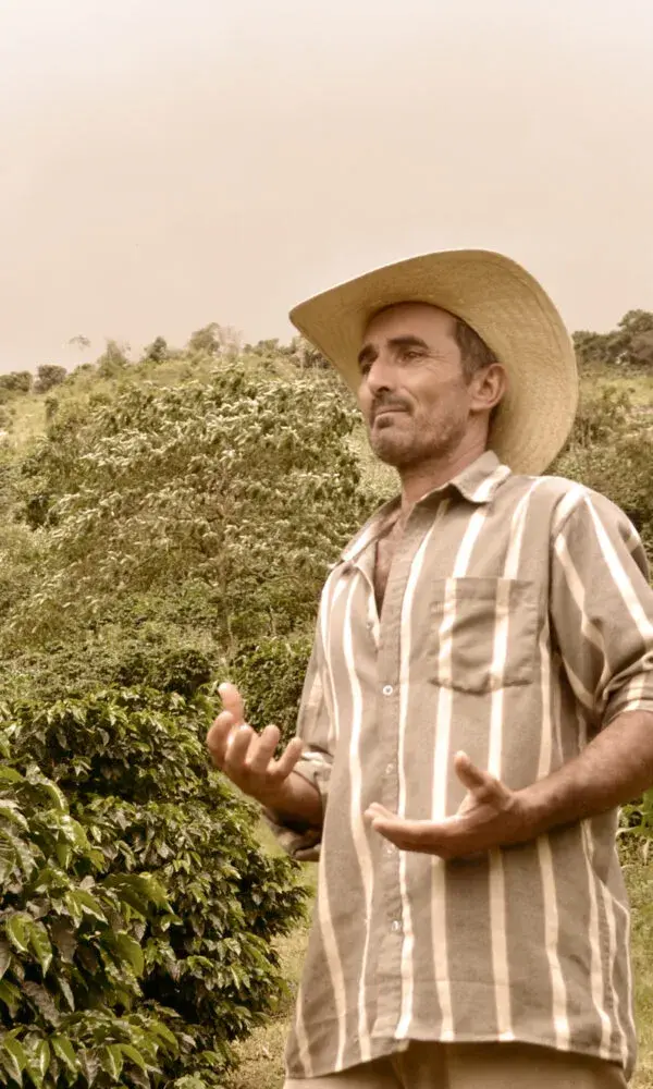 Morada do Sol (2025)