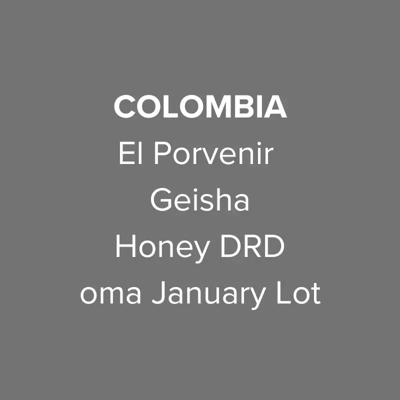Colombia El Porvenir Geisha Honey DRD January Lot