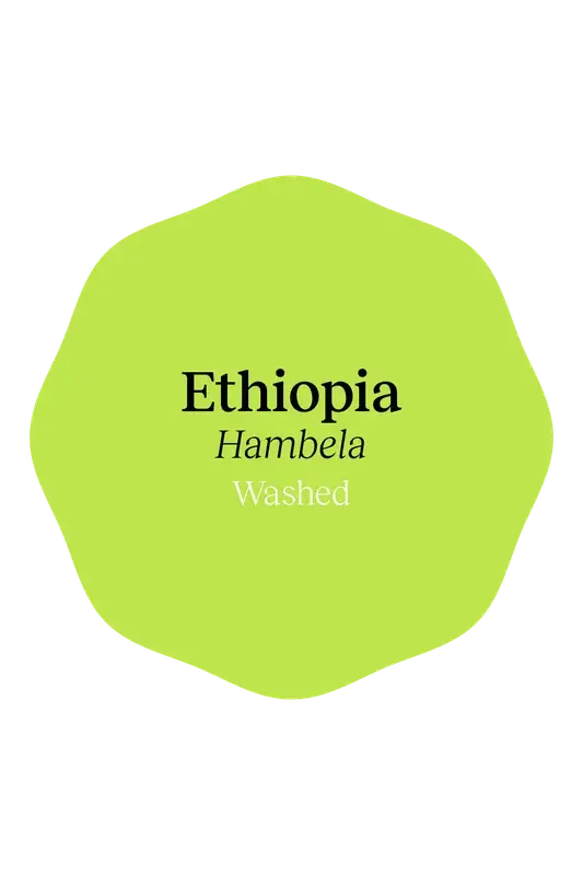 Ethiopia Hambela Washed