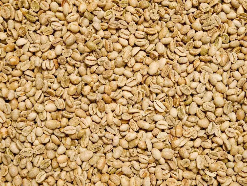 India Monsoon Malabar AA