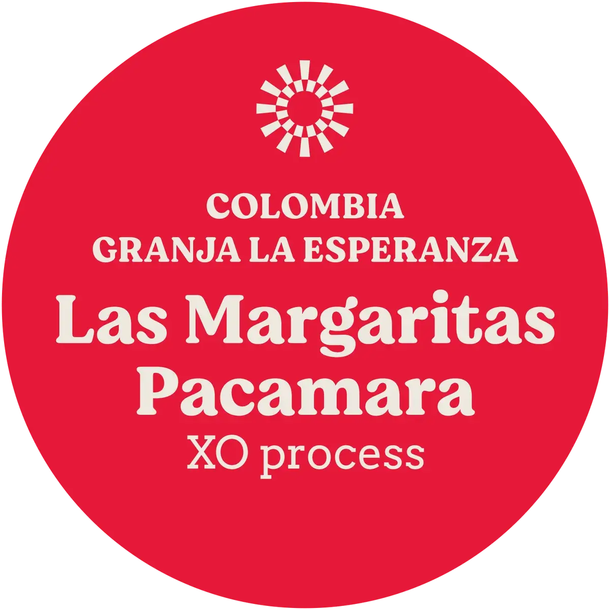 Pacamara XO