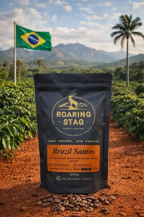 Brazil Santos