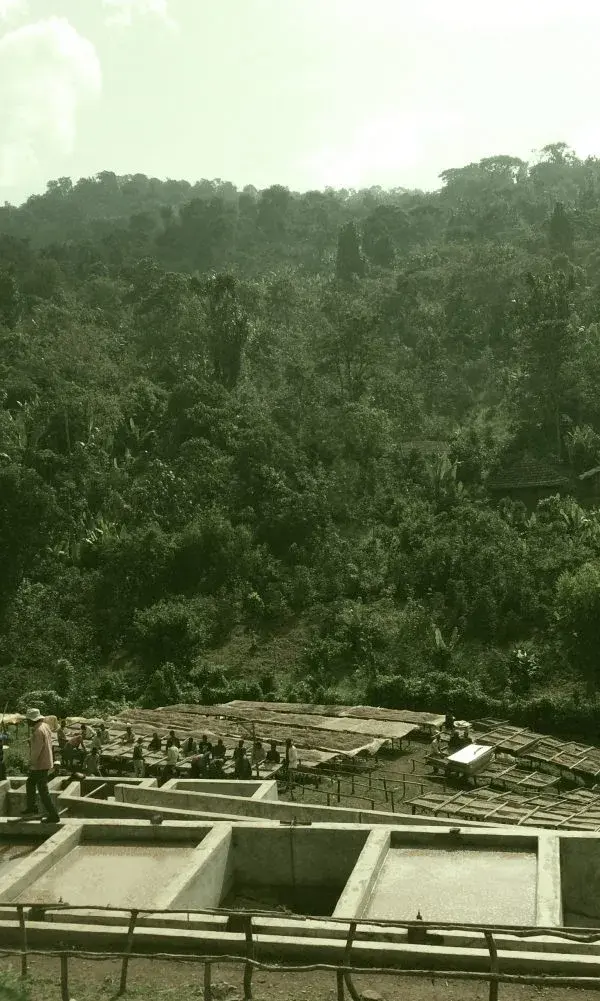 Reko