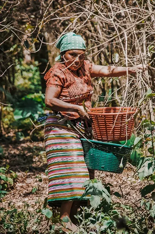 Guatemala – Puerta Verde