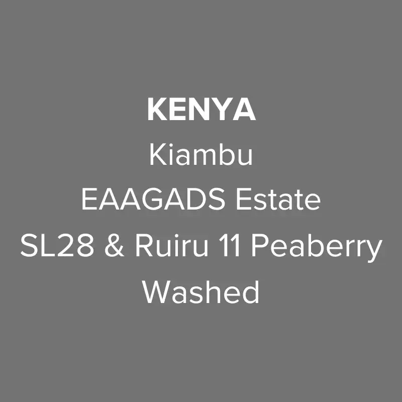 Kenya Kiambu EAAGADS Estate SL28 & Ruiru 11 Peaberry Washed