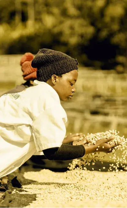 Simbi H.