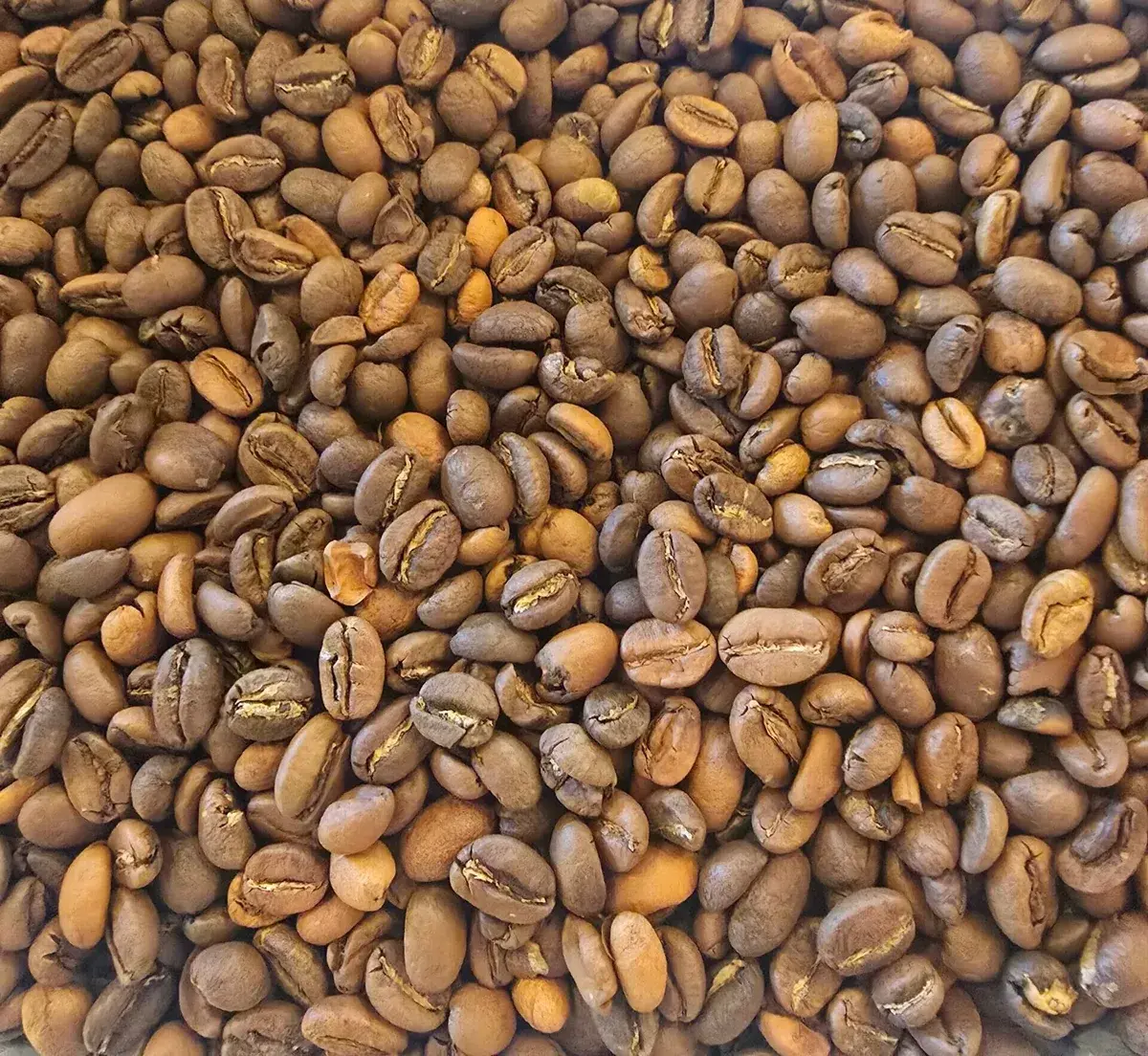 Ethiopia Mocha Djimmah