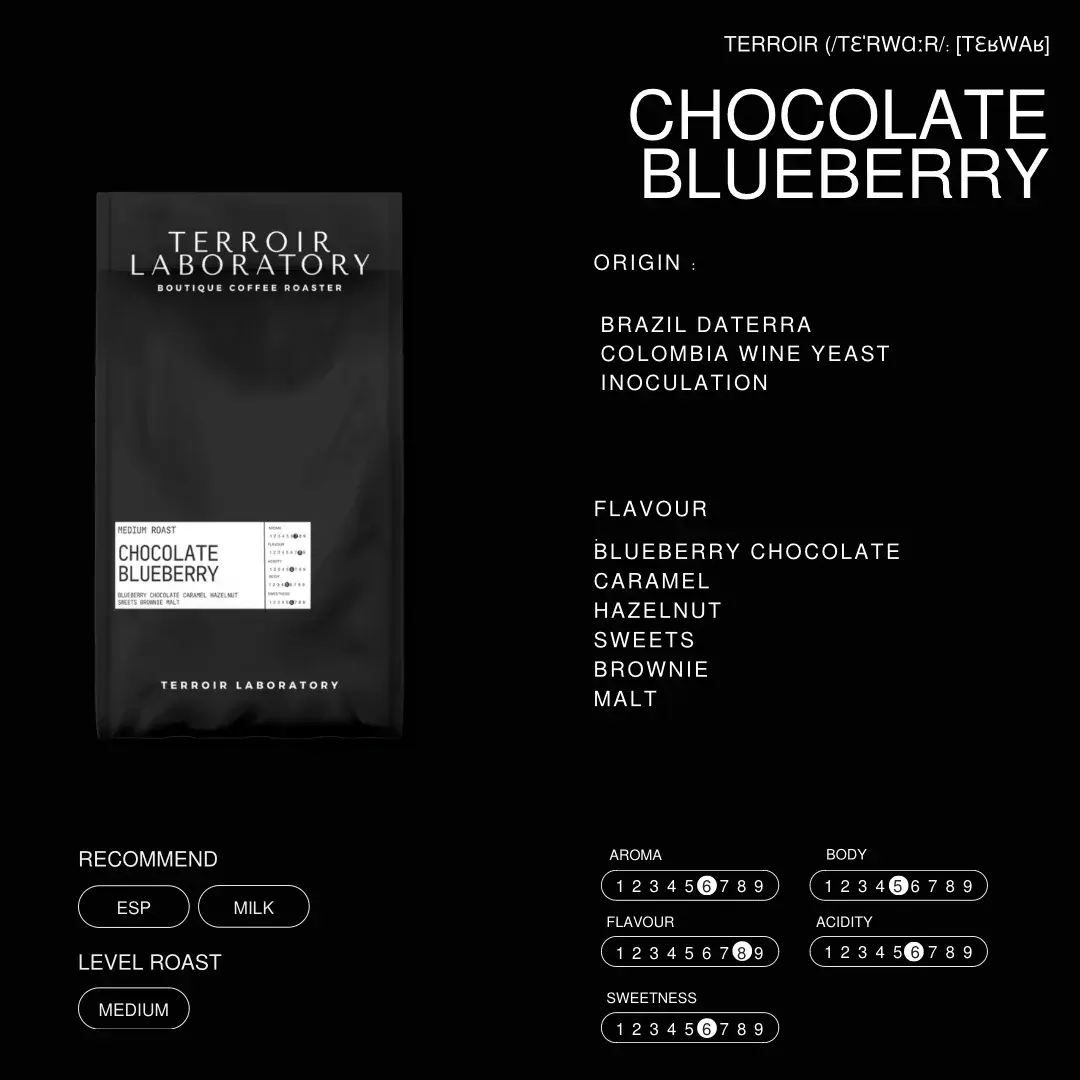 Chocolate Blueberry
