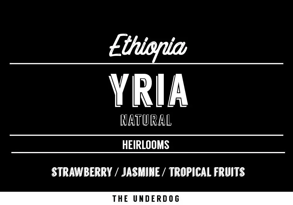 Yria