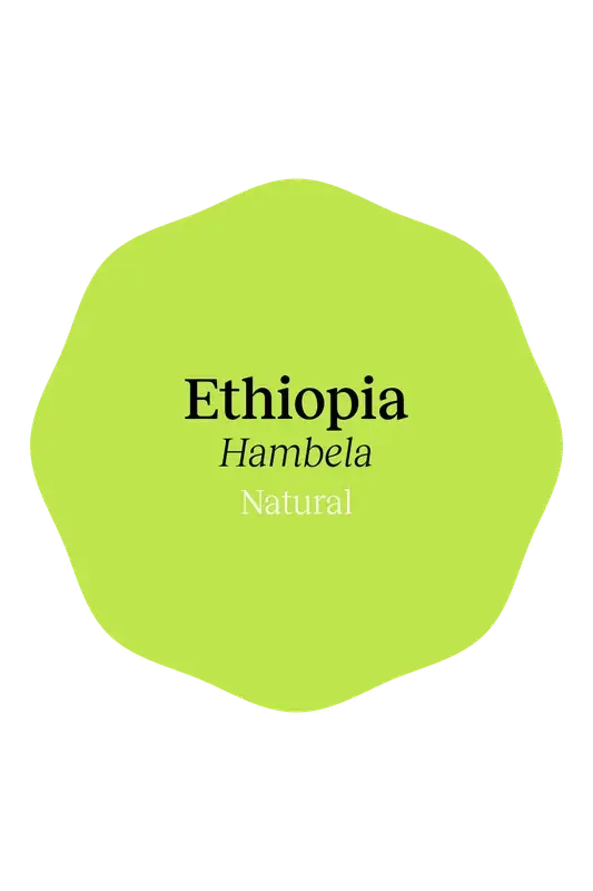 Ethiopia Hambela Natural