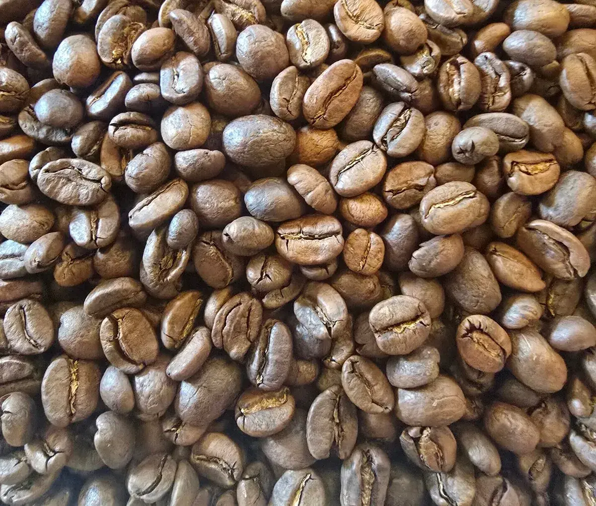 Colombia Decaffeinated Mountain Water Process