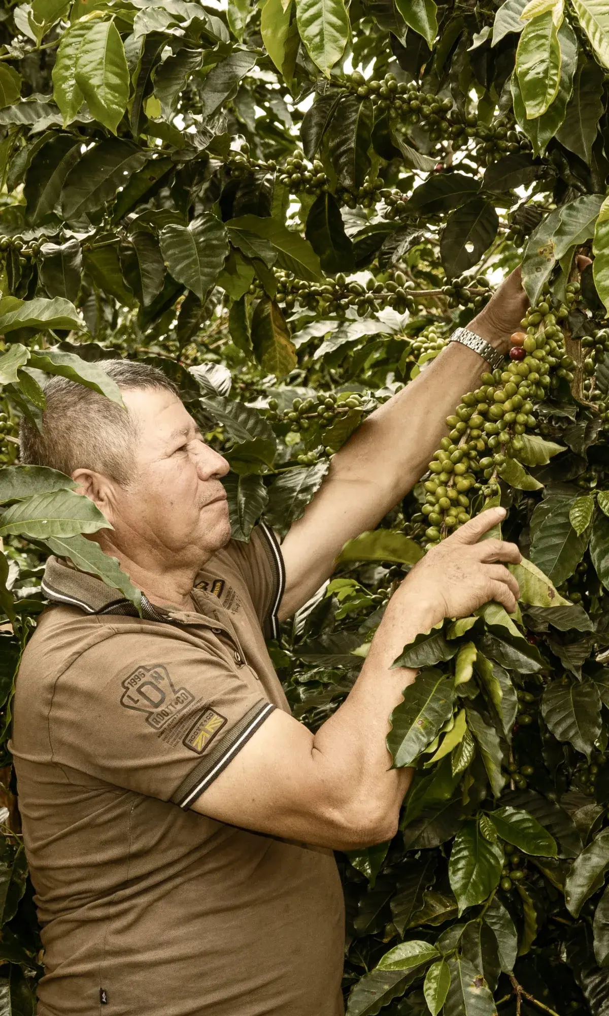 La Esmeralda