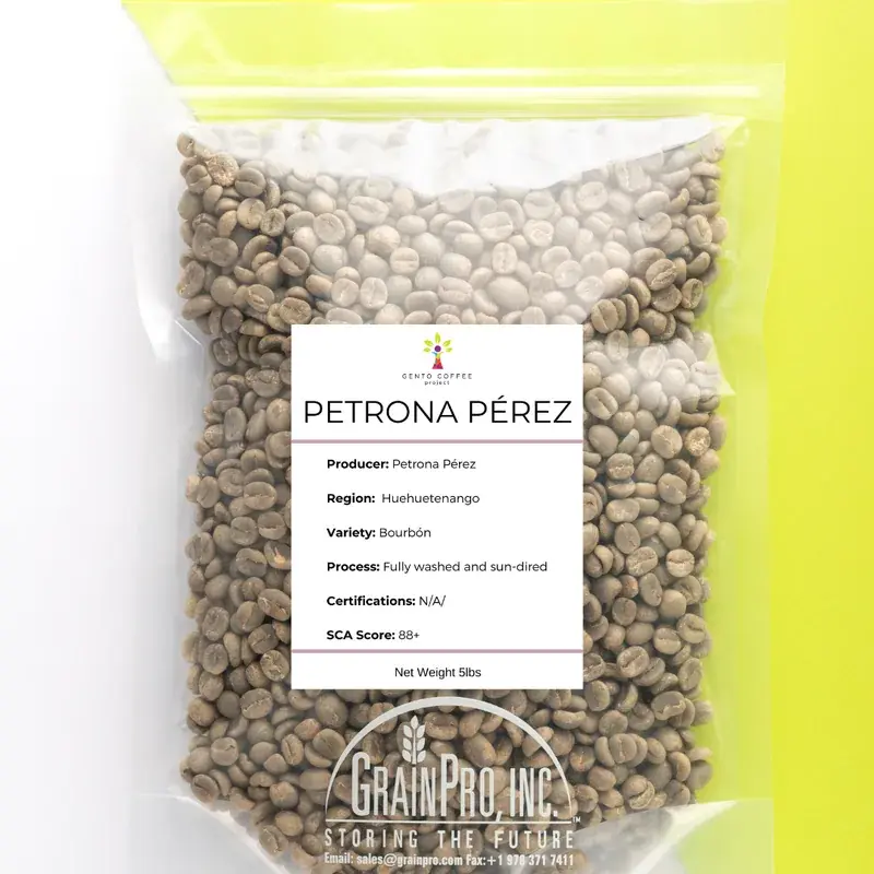 Huehuetenango Petrona Perez