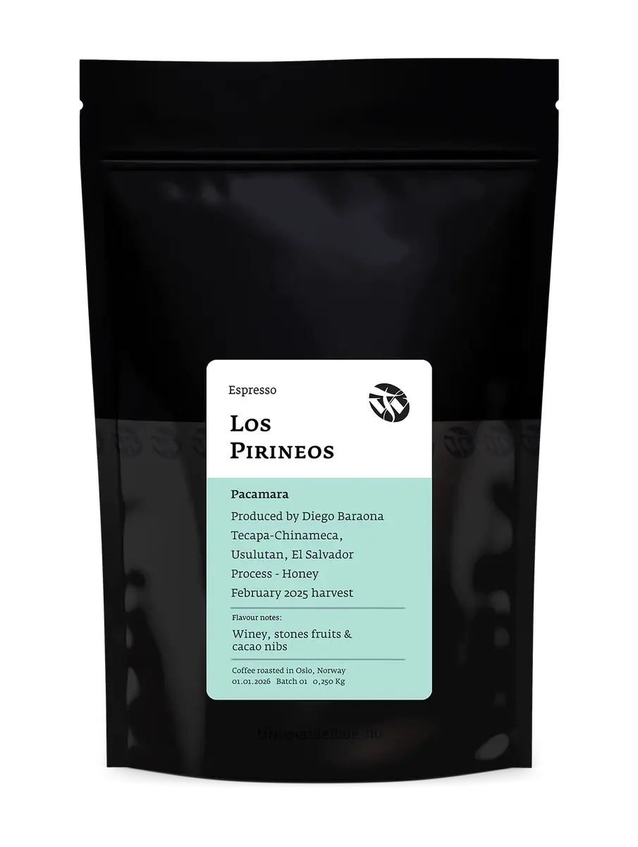 Los Pirineos Pacamara Espresso