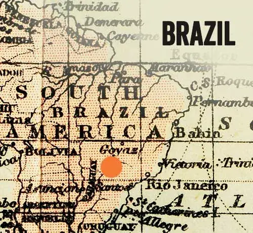 Fazenda Castanhas Natural