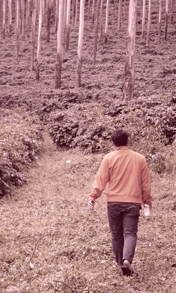 Kerinci