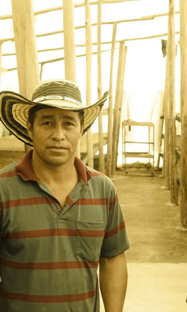 Calamar