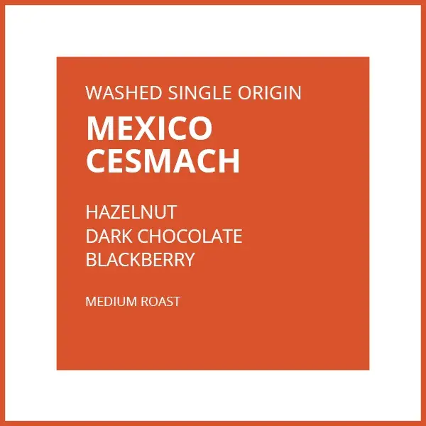 MEXICO CESMACH