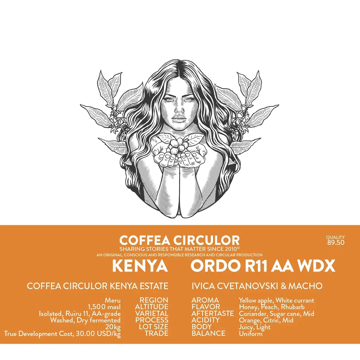Ordo Isolated Ruiru 11 AA