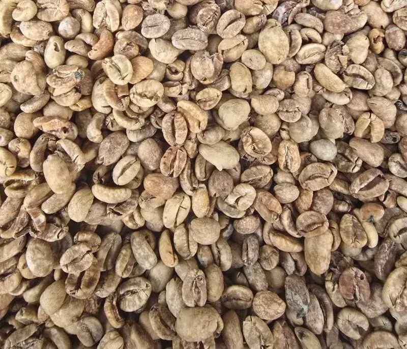 Old Brown Java