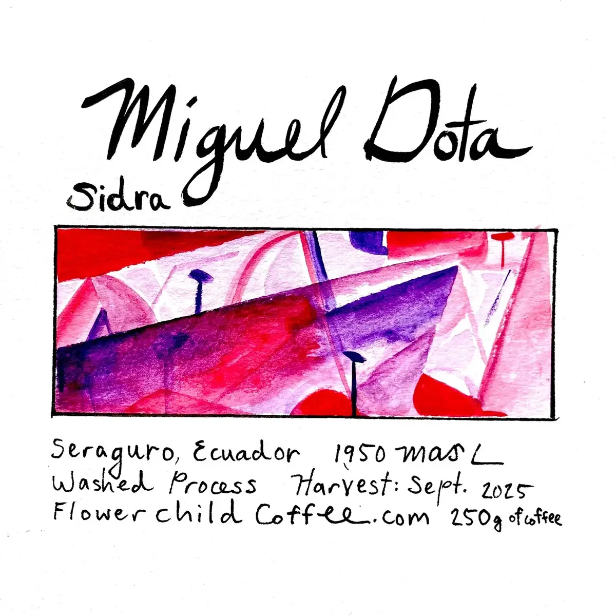 Miguel Dota