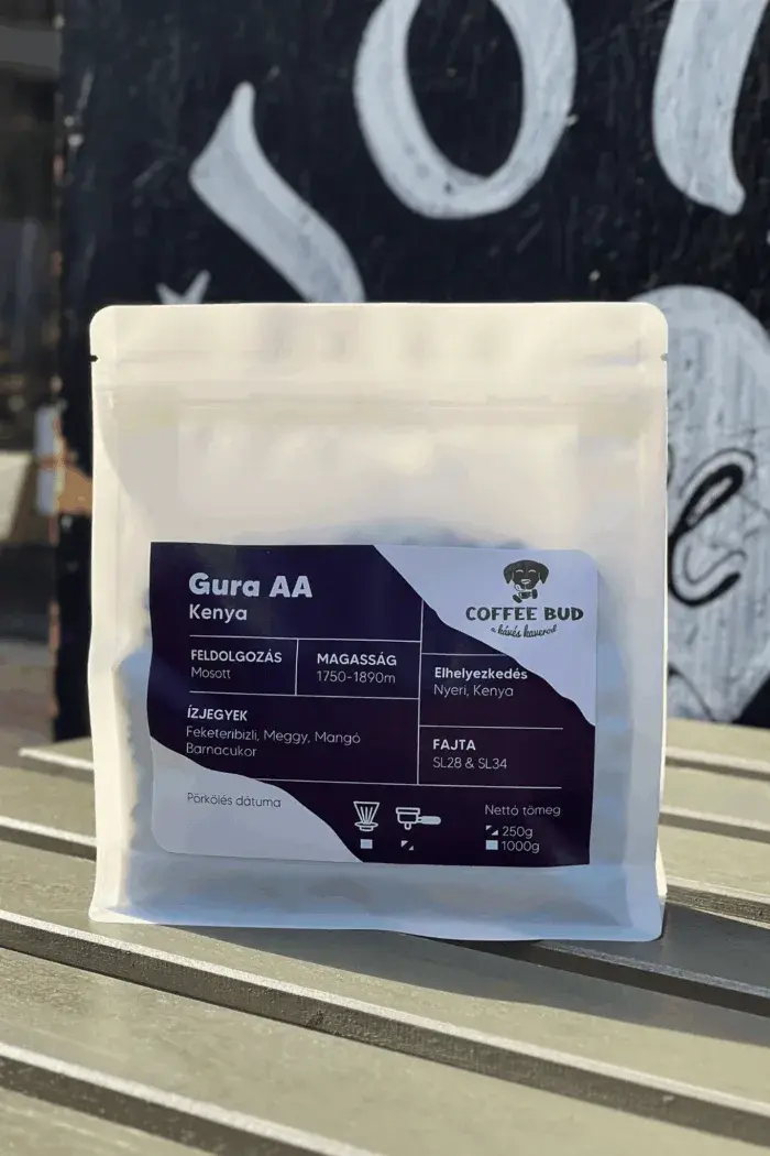 Gura AA