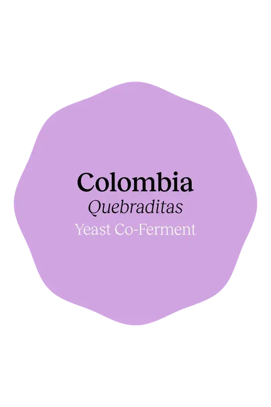Colombia Quebraditas Yeast Co-Ferment