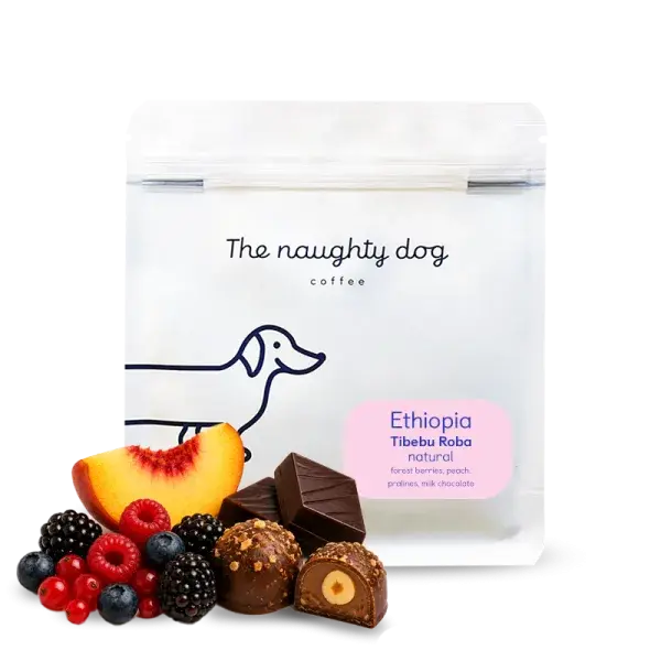 Ethiopia TIBEBU ROBA