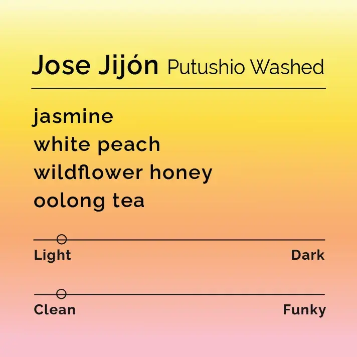 Jose Jijón - Putushio Washed