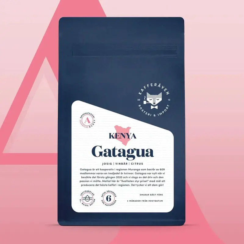Gatagua