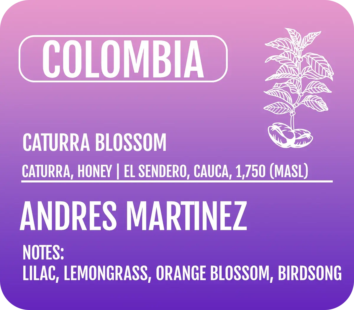 Caturra Blossom