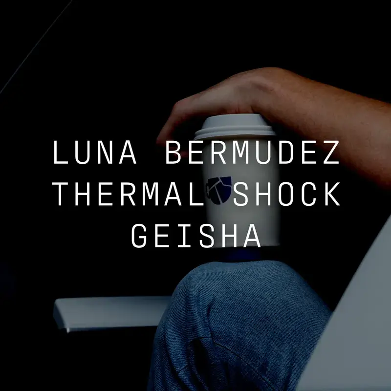 Luna Bermudez Geisha