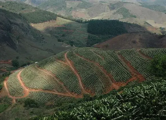 Colombia Supremo la Manuela