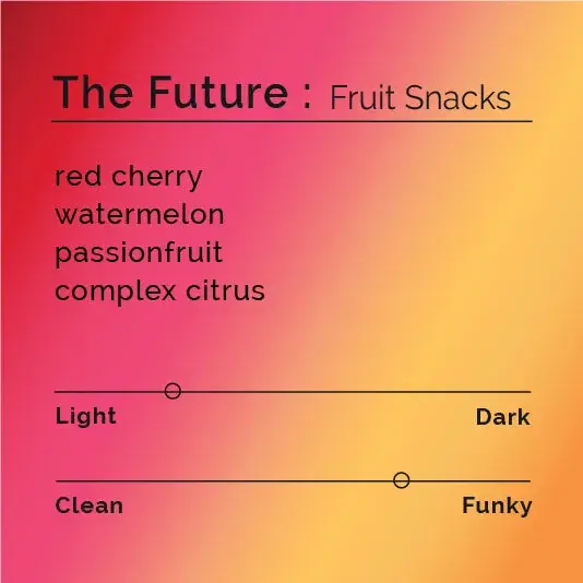 The Future - Fruit Snacks