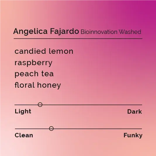 Angelica Fajardo Bioinnovation Washed