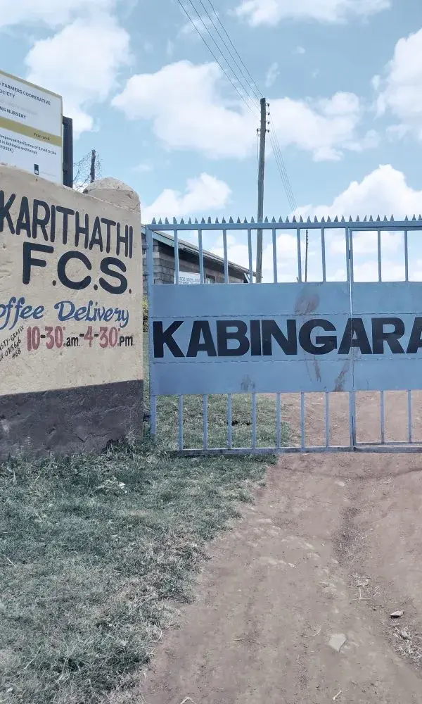 Kabingara