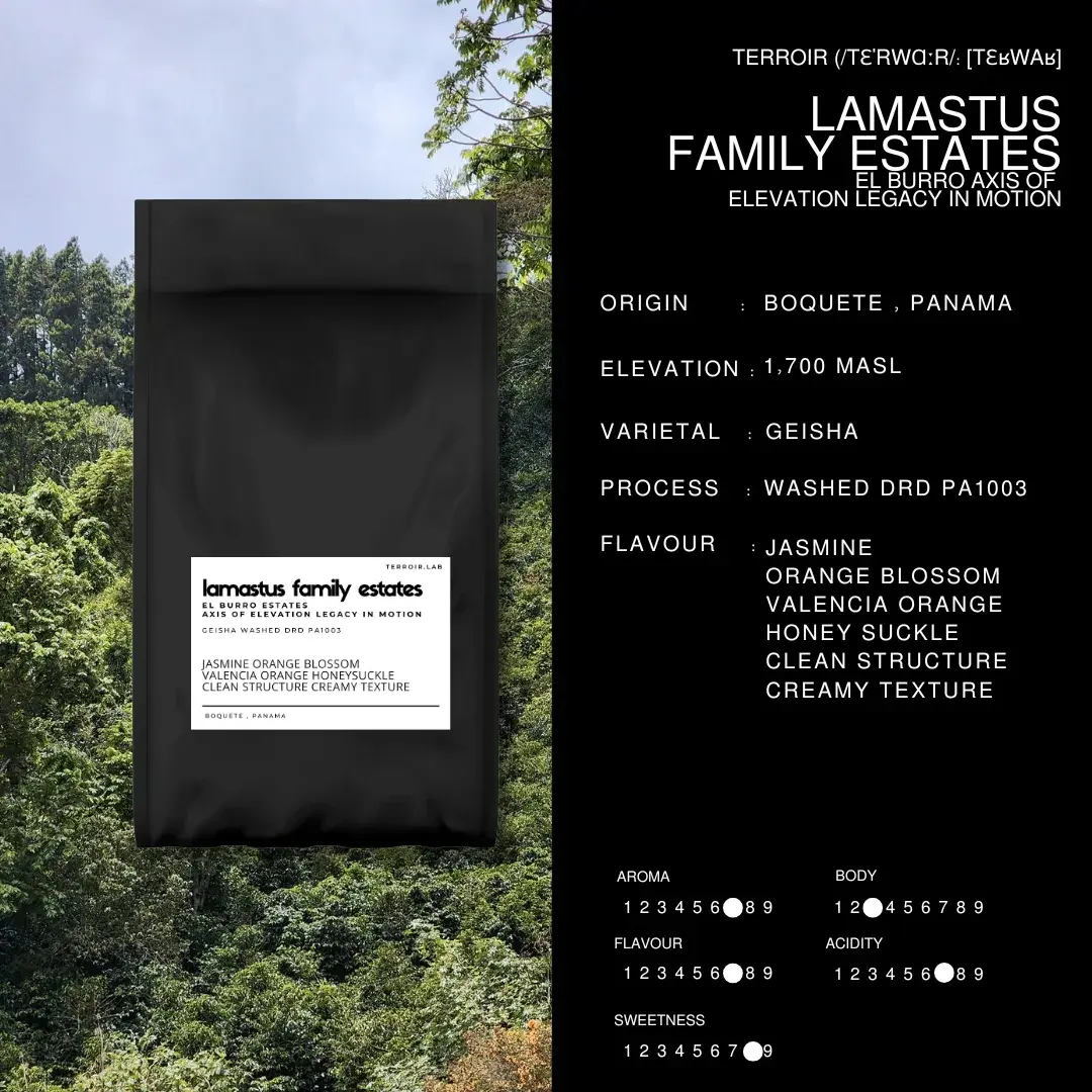 LAMASTUS FAMILY ESTATES (El Burro Axis Of Elevation Legacy In Motion)
