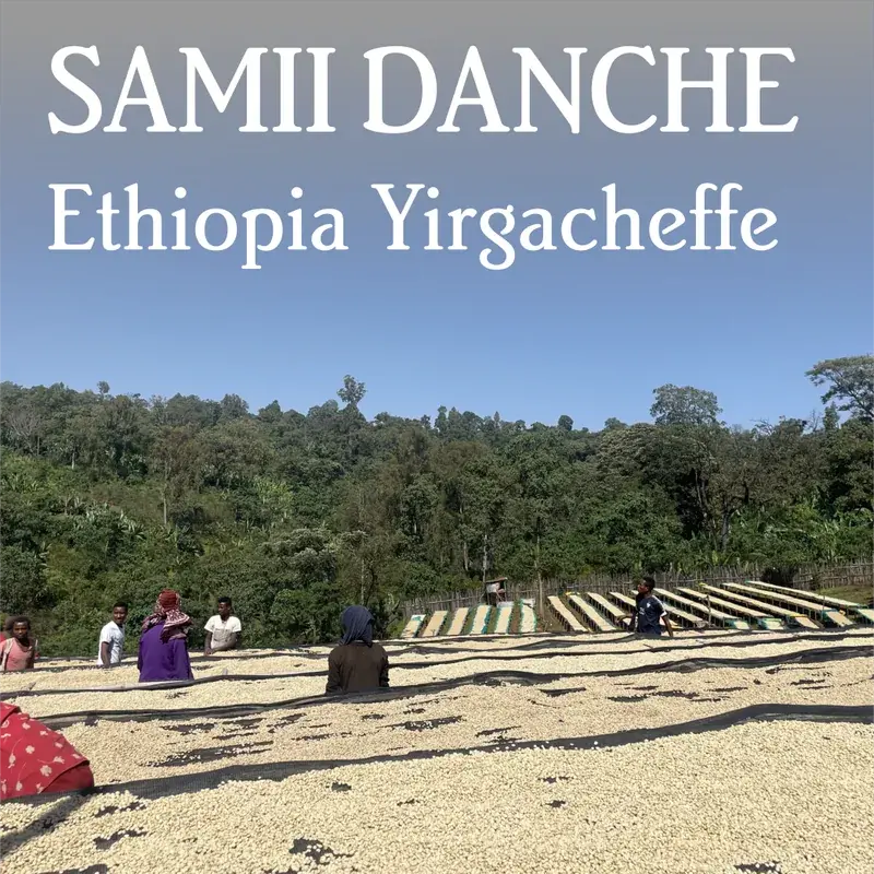 Ethiopia Yirgacheffe Samii Danche