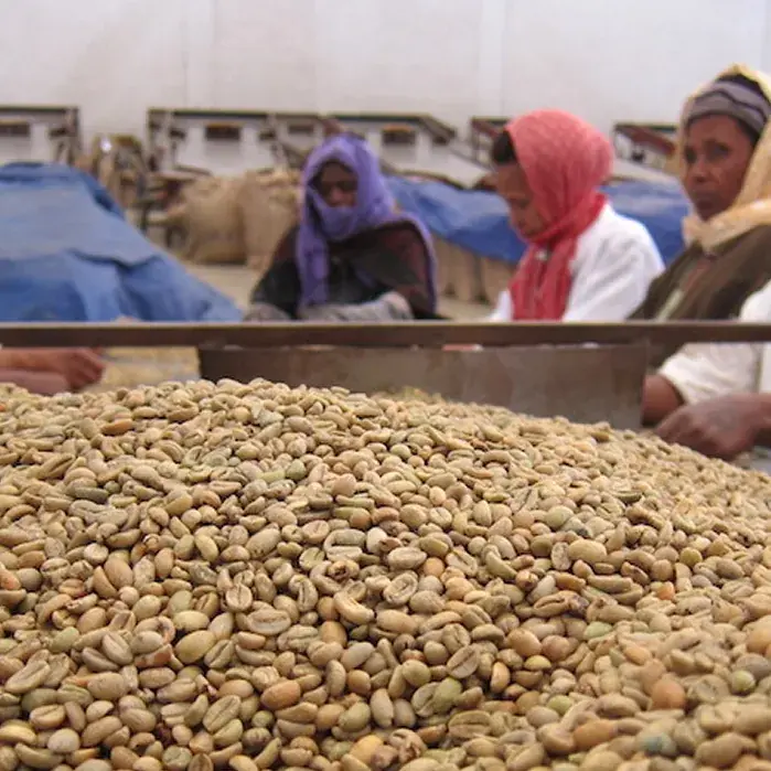 Ethiopia Agaro