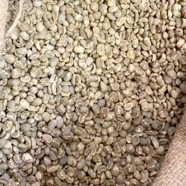 Indonesian Lintong