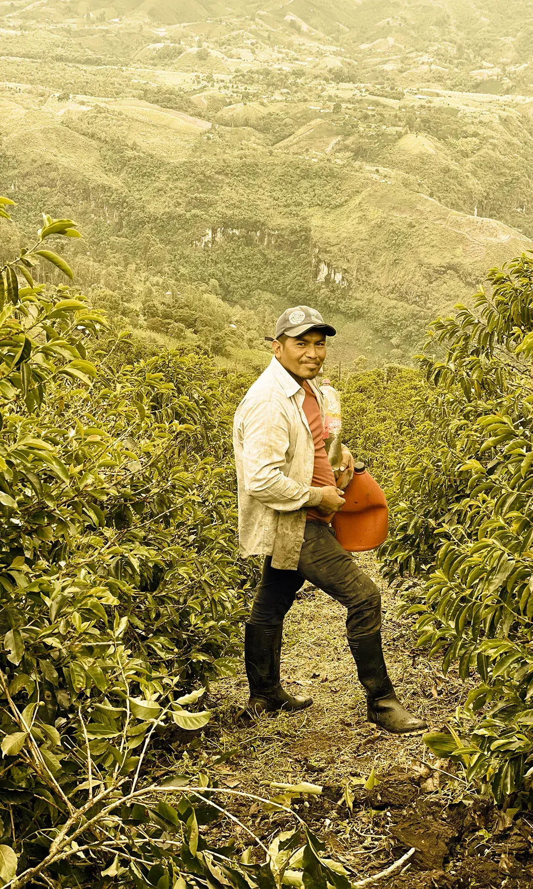 El Cedro