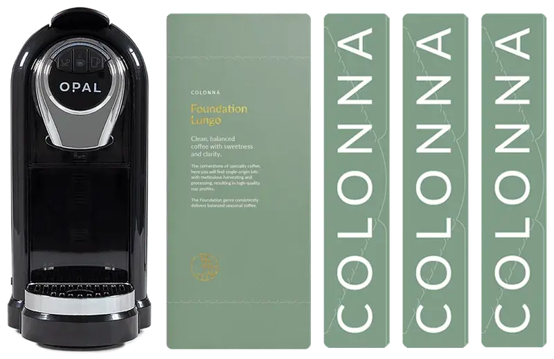 Foundation Lungo