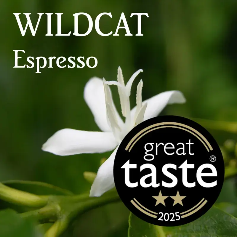 Wildcat Espresso