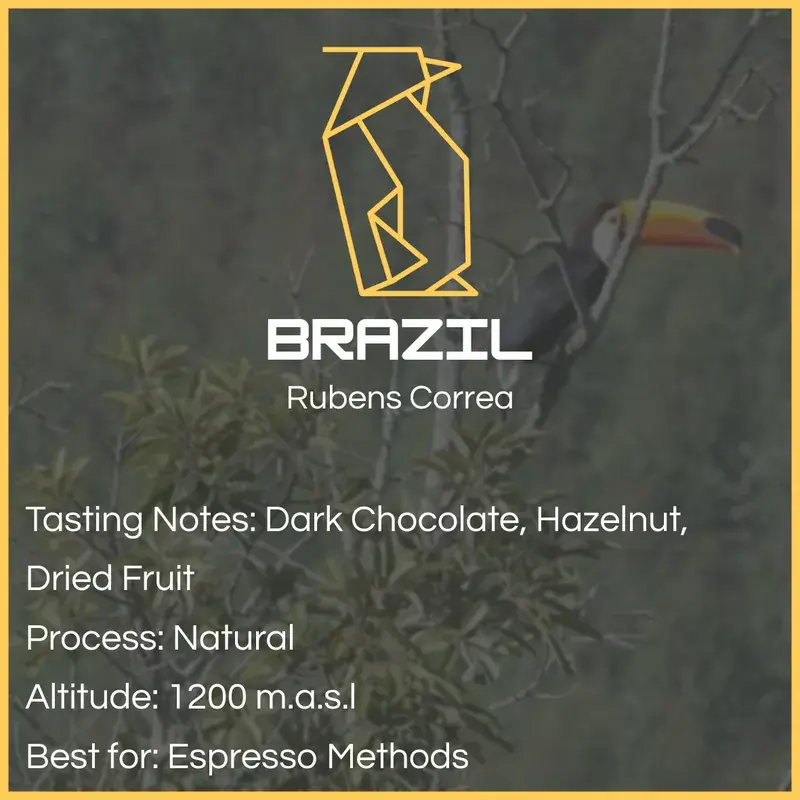 Brazil - Rubens Correa