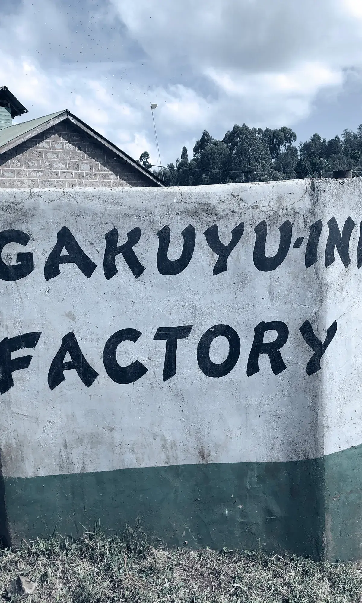 Gakuyu-ini