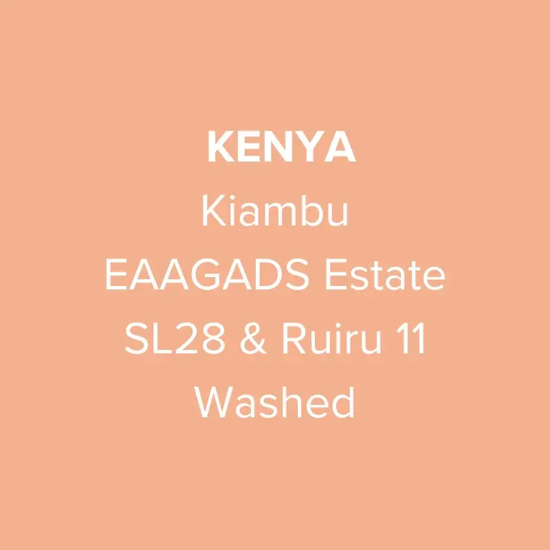Kenya Kiambu EAAGADS Estate SL28 & Ruiru 11 Washed AA TOP (Espresso)