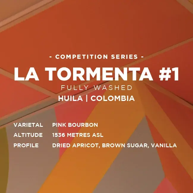 Colombia: La Tormenta #1